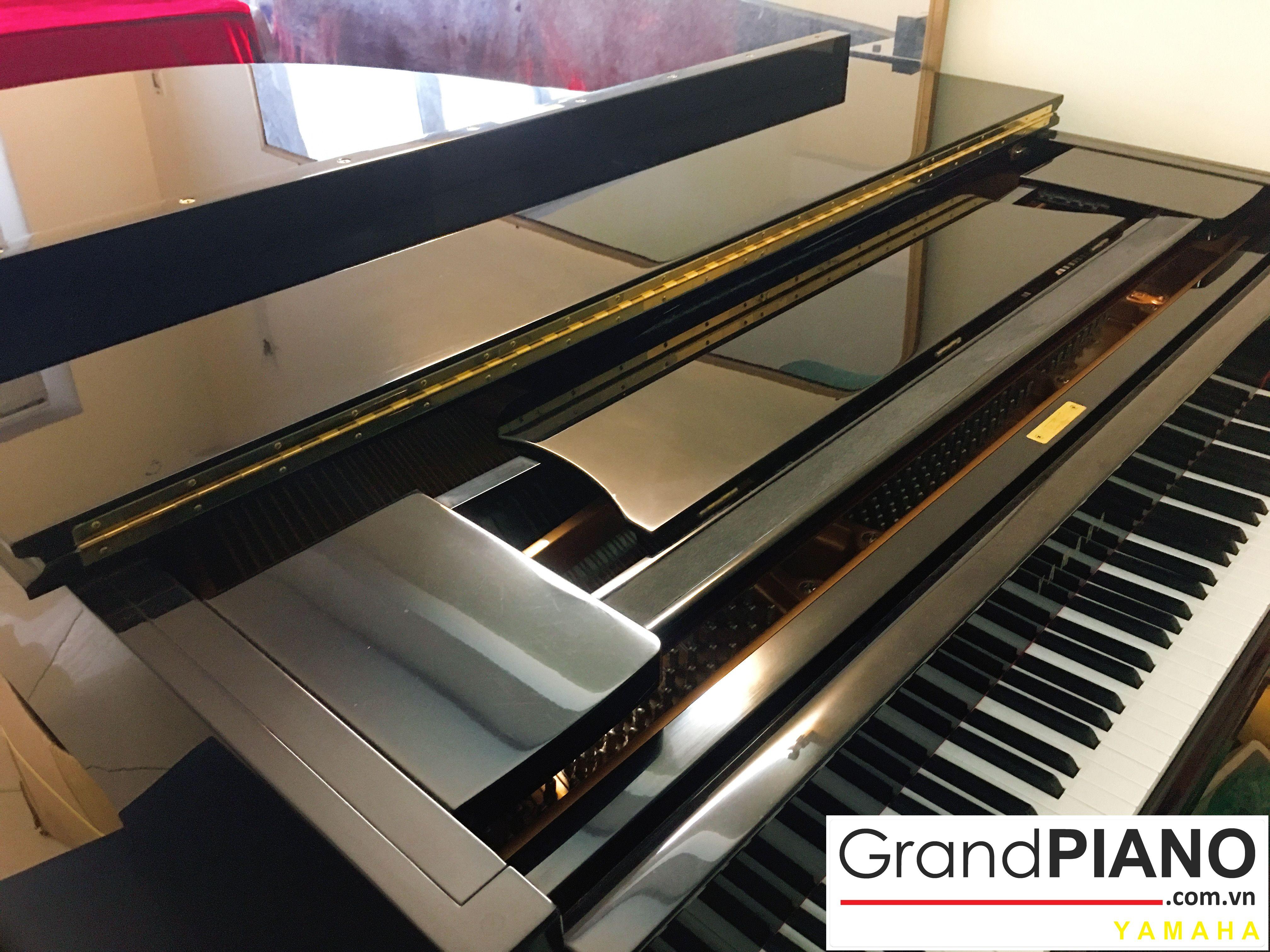 YAMAHA C3 SERI: 5490100 ✅ 